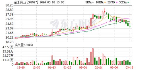 降本增效與務(wù)實投資 解析金禾實業(yè)的長期發(fā)展邏輯